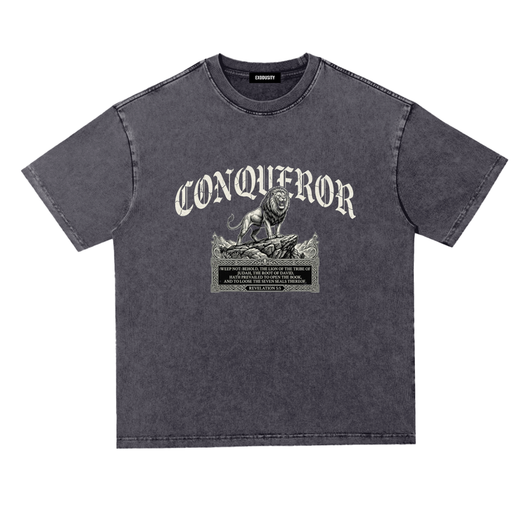 Snow Washed Heavyweight Oversize T-Shirt