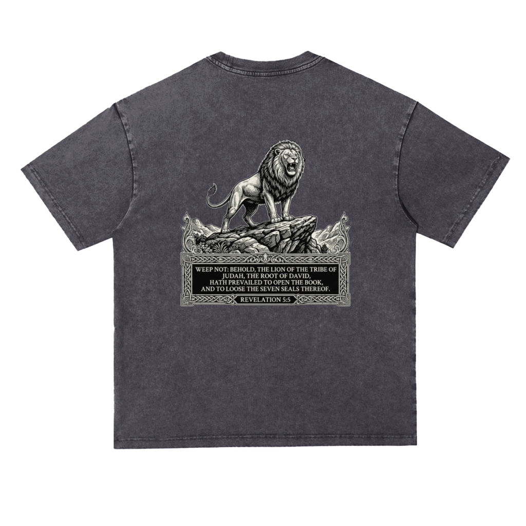 Snow Washed Heavyweight Oversize T-Shirt